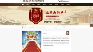 安徽金九华农业